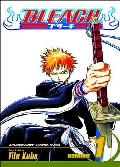 Bleach Graphic Novel Vol 1 200pgs